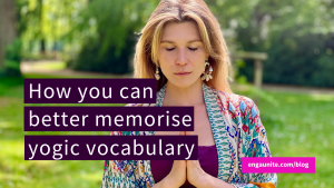memorise vocabulary